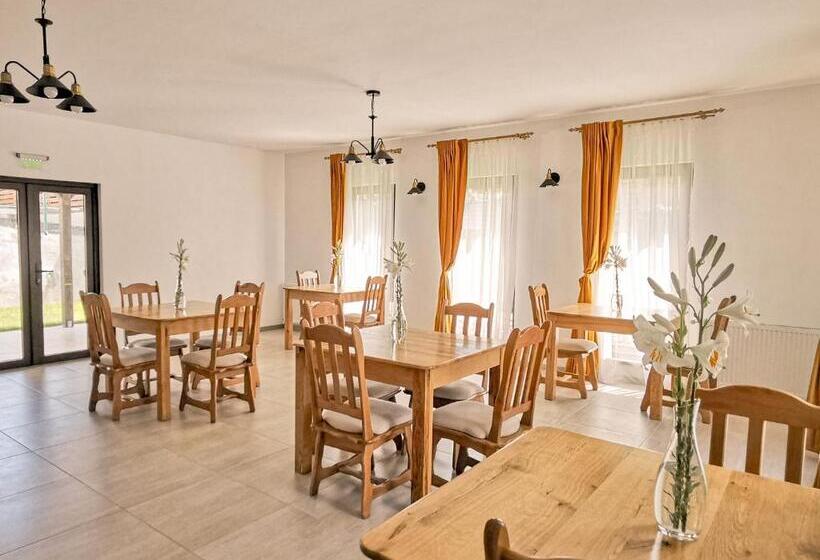 Pensiunea Ocna Maramuresului