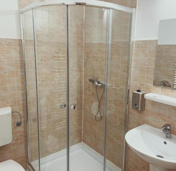 Pensiunea Ocna Maramuresului