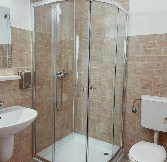 Pensiunea Ocna Maramuresului