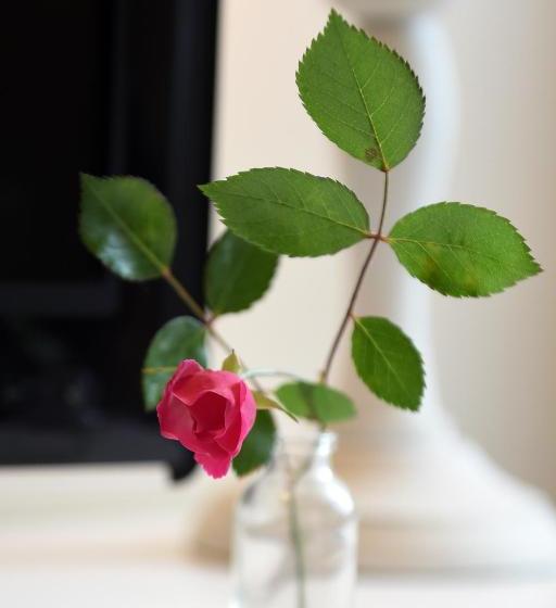 호텔 Le Rodin Bazas