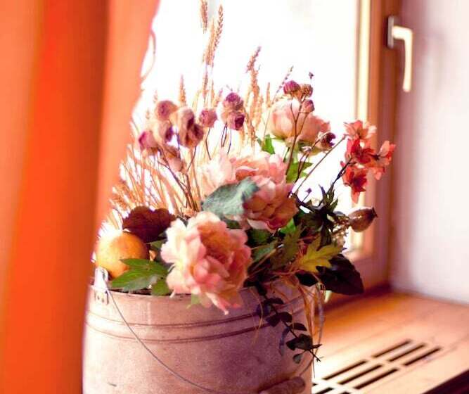 בית מלון כפרי Central