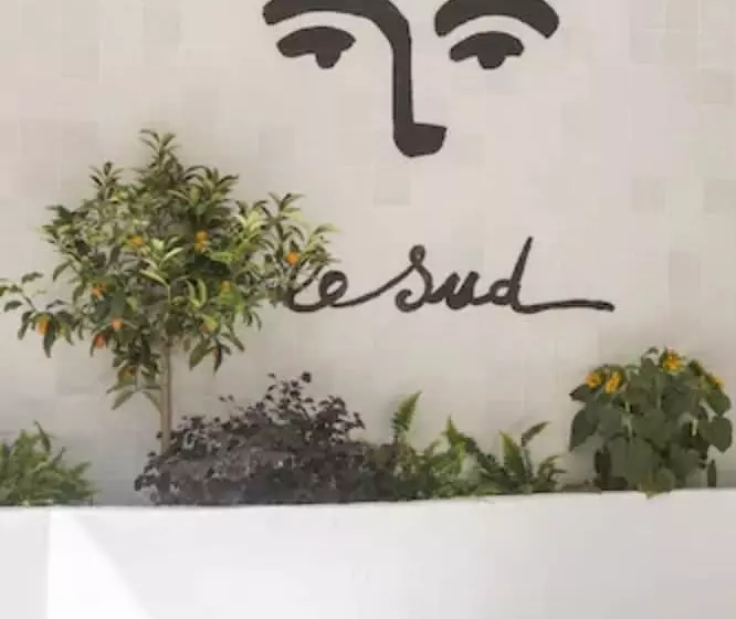 호텔 Le Sud
