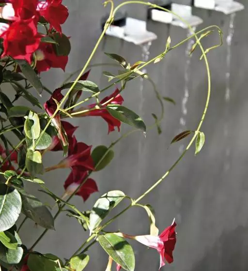 酒店 Montaigne & Spa