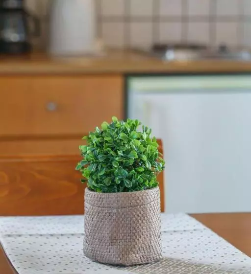 Отель Sunrise Suites & Apartments