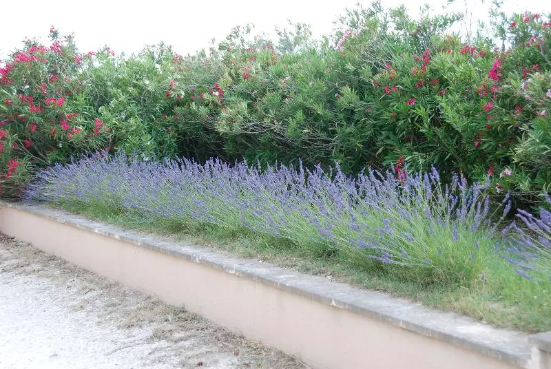 호텔 Terriciae Maussane