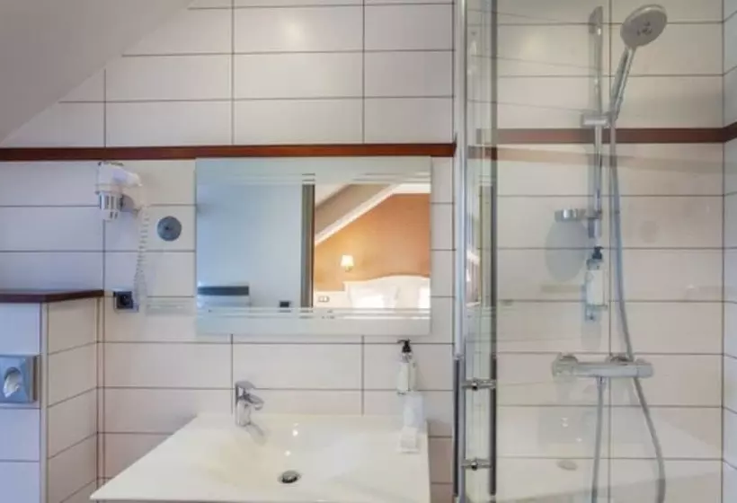 Hotel Best Western Le Duguesclin Hôtel Restaurant