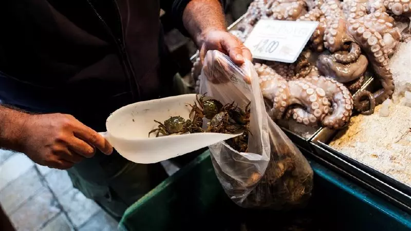 هتل Pensione Wildner