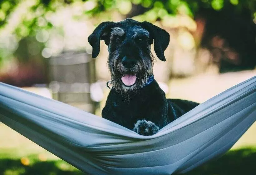 Colwall Park   Hotel, Bar & Restaurant