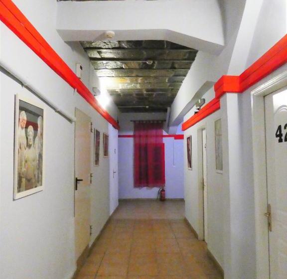 Hotel Fivos   Hostel