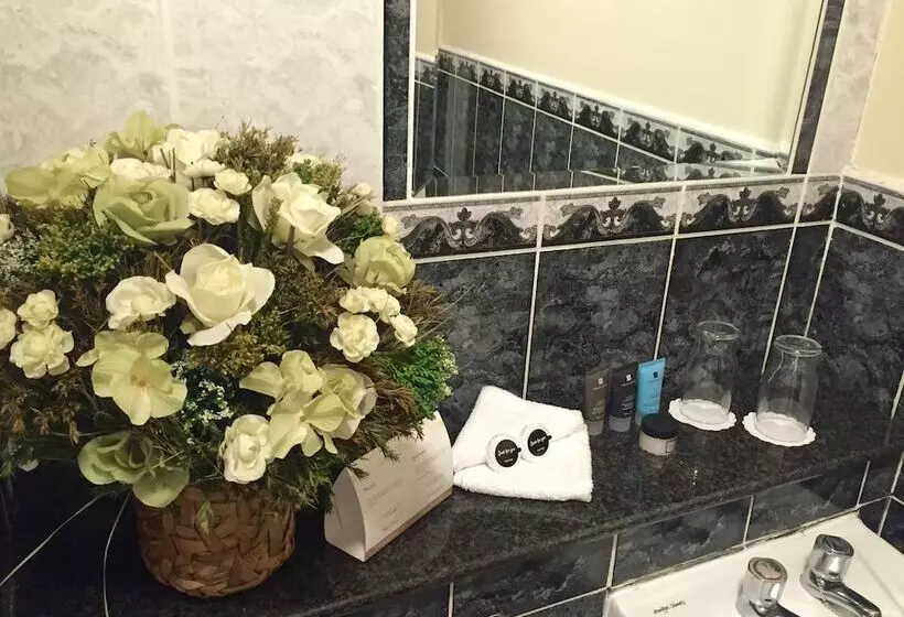 Dublin Citi Hotel Of Temple Bar