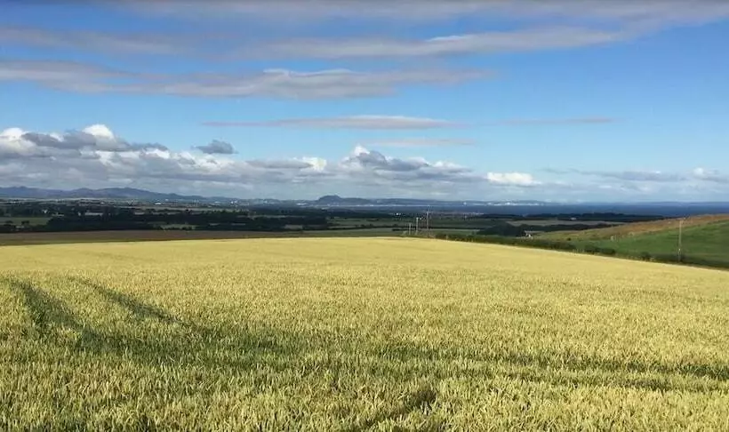 هتل Garleton Lodge