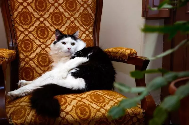 בית מלון כפרי Hôtel Héliot, Cosy Places By Charme & Caractère