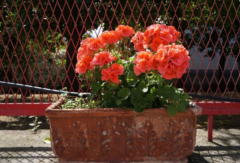 בית מלון כפרי Maison Susy