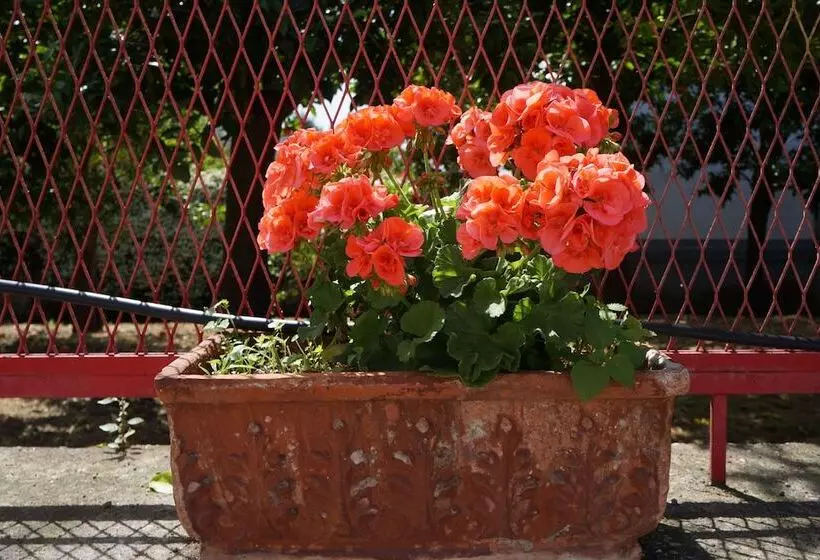 Отель Maison Susy