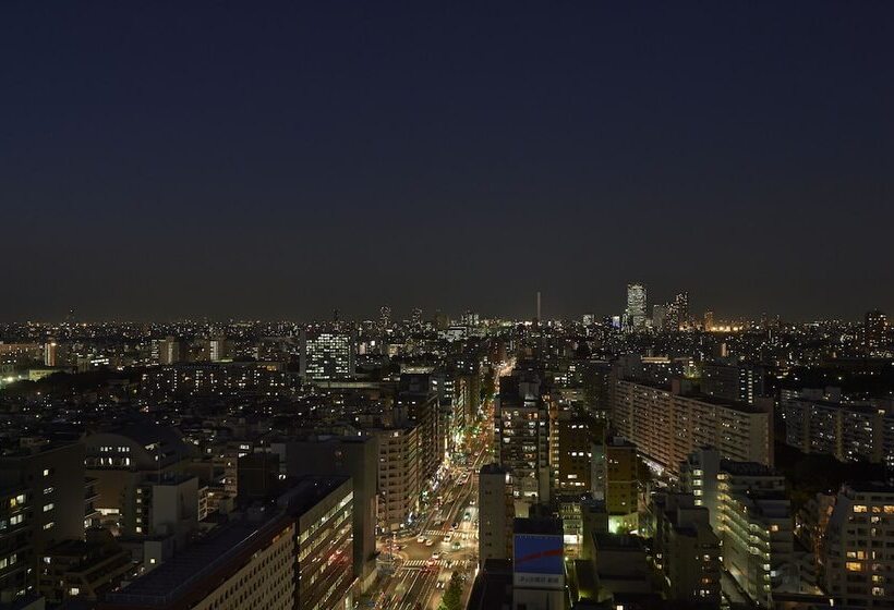 酒店 Sotetsu Fresa Inn Higashi Shinjuku