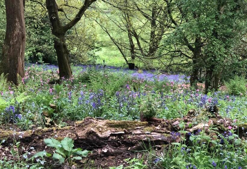 호텔 Wildhive Callow Hall