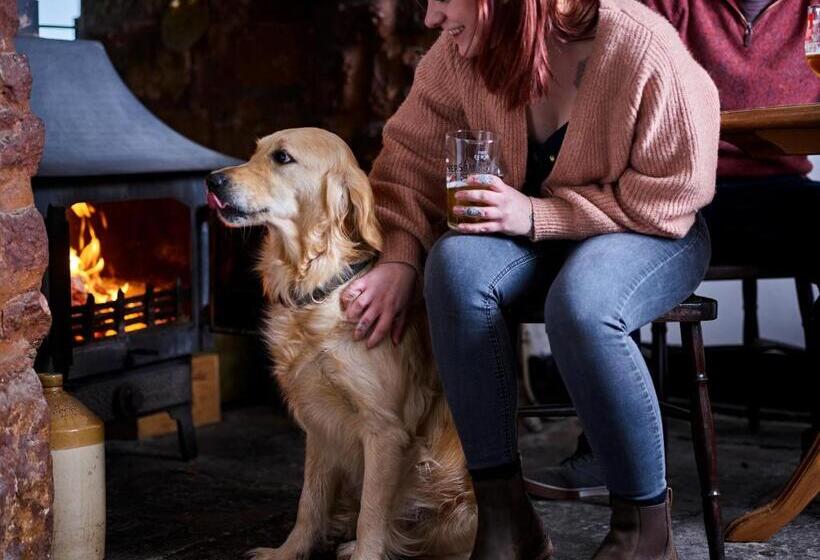 ベッドアンドブレックファースト The Martlet Inn