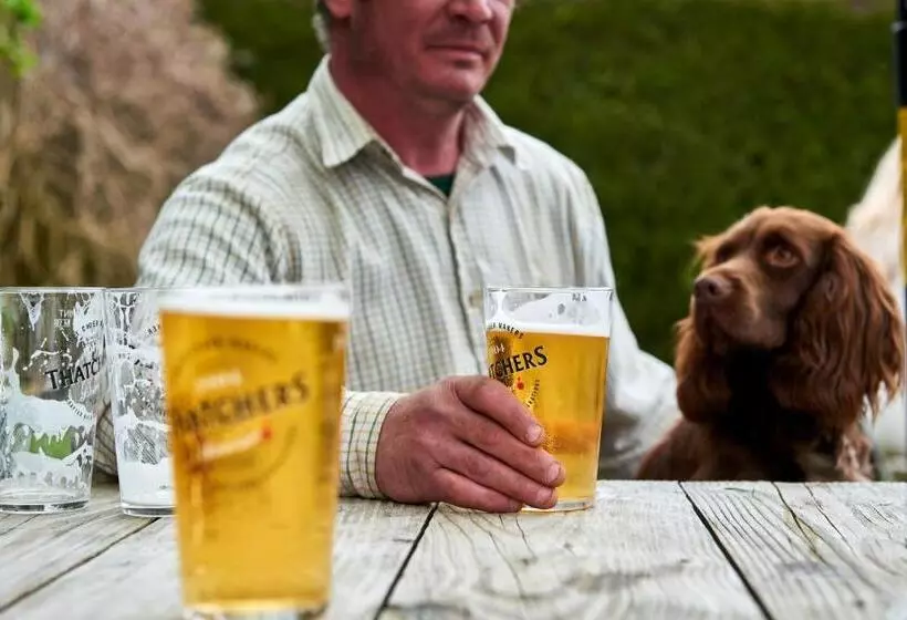 Aamiaismajoitus (B&B) The Martlet Inn