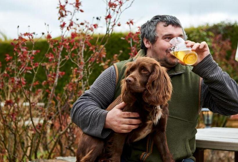 ベッドアンドブレックファースト The Martlet Inn