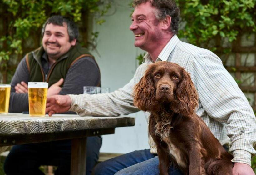 ベッドアンドブレックファースト The Martlet Inn