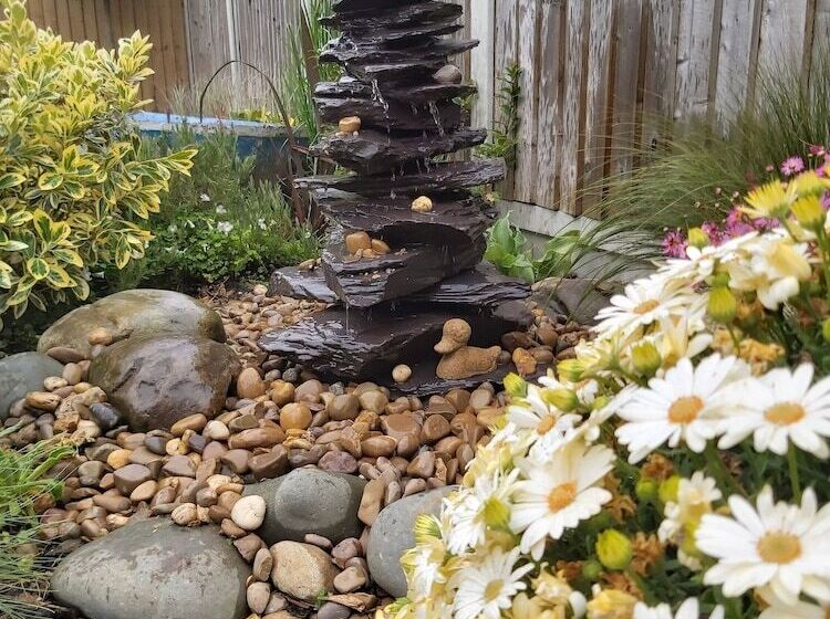 민박 Viva Guest House