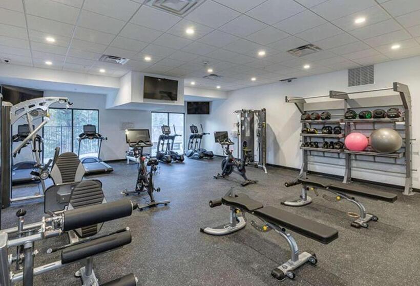 Cambria Hotel Copper Mountain