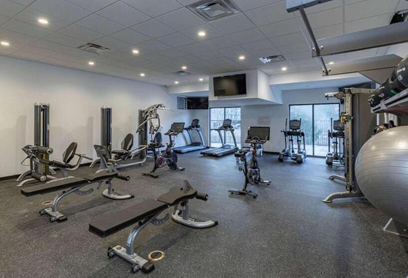 Cambria Hotel Copper Mountain