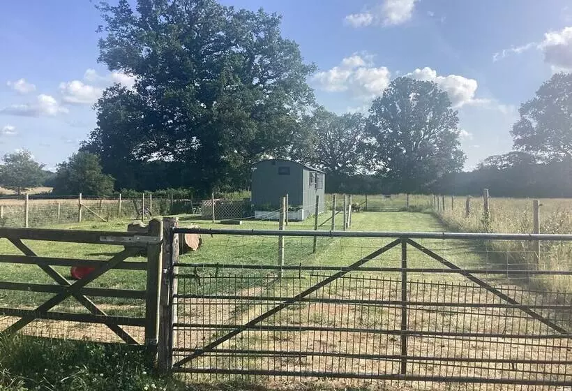 Charming Luxurious Rural Shepherds Hut