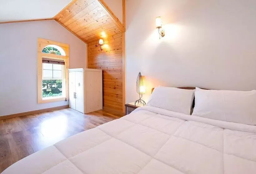 Hongcheon Lime Orange Pension