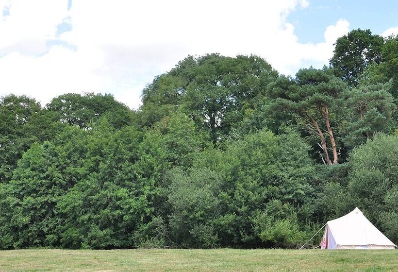 Immaculate And Cosy Bell Tent In Shaftesbury, Uk
