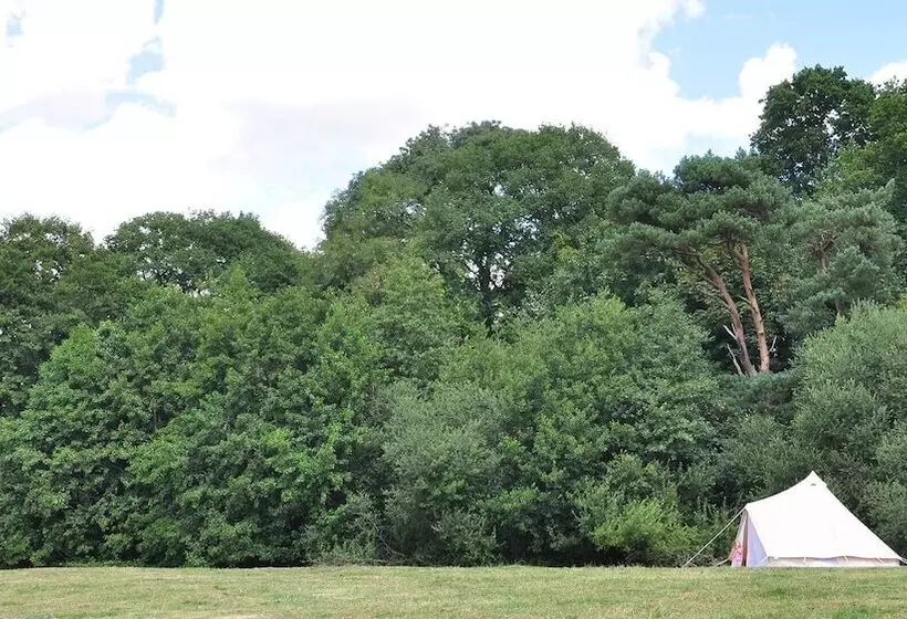 Immaculate And Cosy Bell Tent In Shaftesbury, Uk