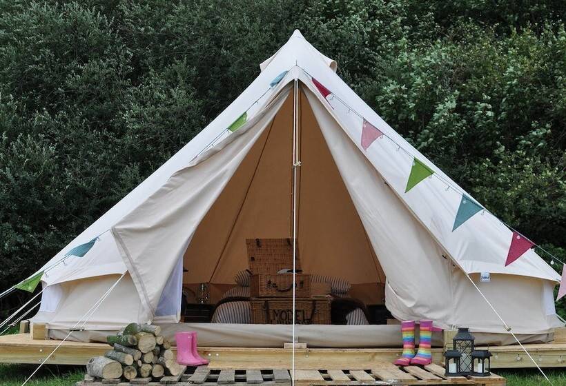 Immaculate And Cosy Bell Tent In Shaftesbury, Uk