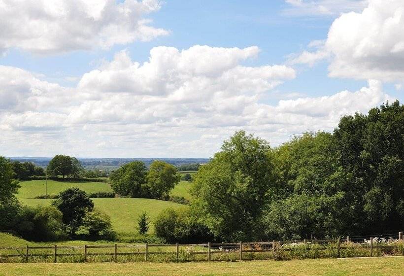 Immaculate And Cosy Bell Tent In Shaftesbury, Uk