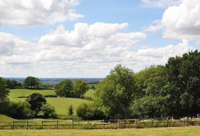 Immaculate And Cosy Bell Tent In Shaftesbury, Uk