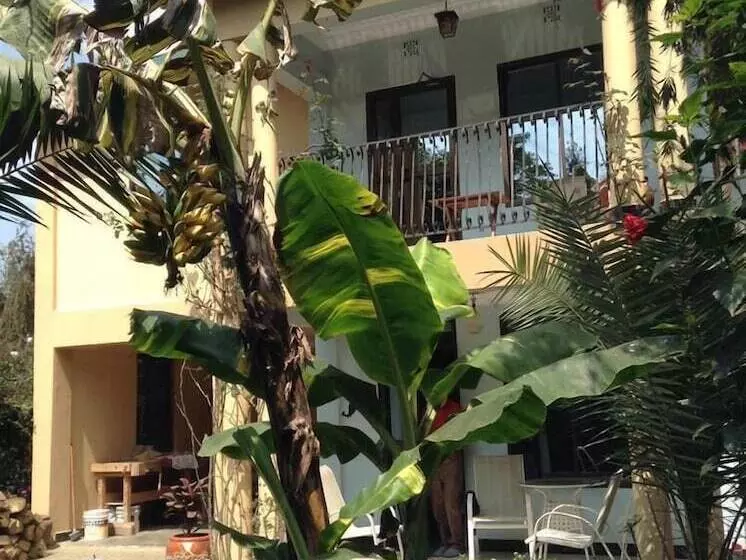 تختخواب و صبحانه Papagei Home