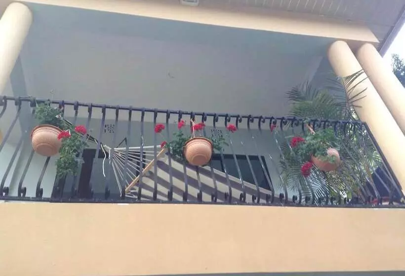 تختخواب و صبحانه Papagei Home