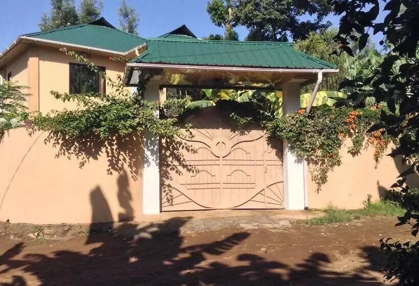 تختخواب و صبحانه Papagei Home