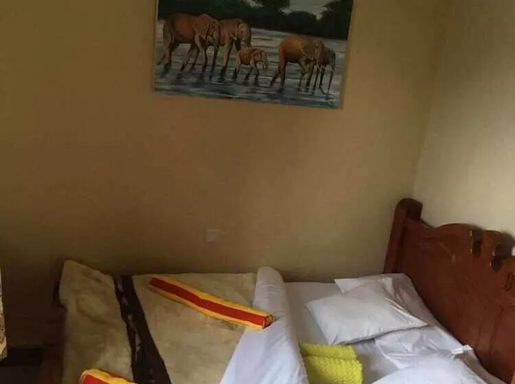 تختخواب و صبحانه Papagei Home