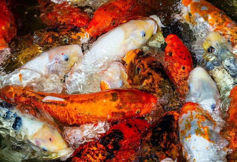 Avid Hotels   Memphis   Southaven, An Ihg