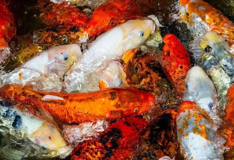 Avid Hotels   Memphis   Southaven, An Ihg