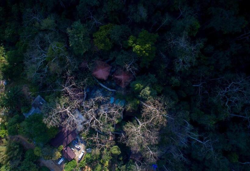 בית מלון כפרי Rock And Tree House Resort