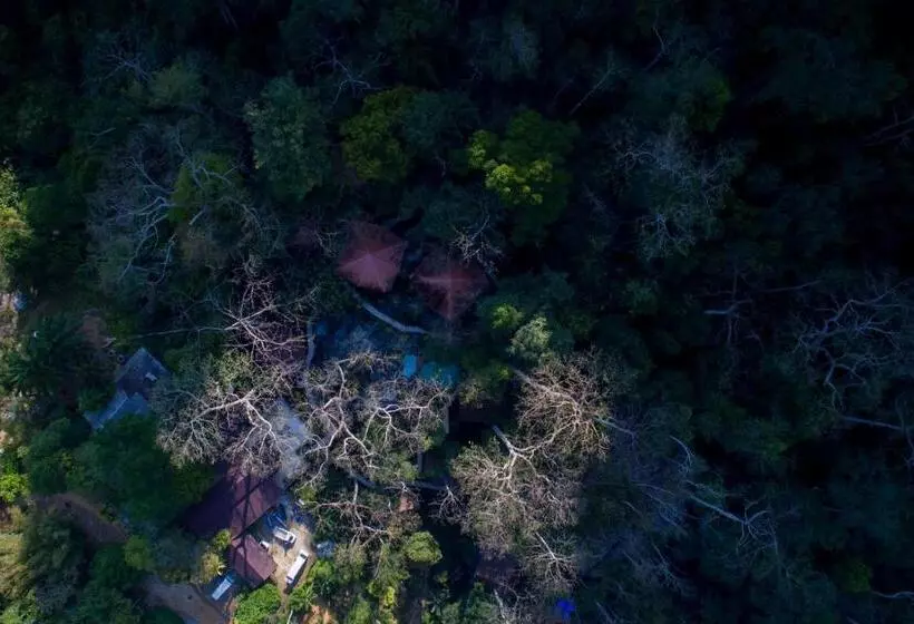 هتل Rock And Tree House Resort