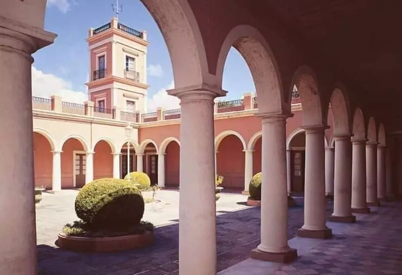 Casa Del Arbol Hostel