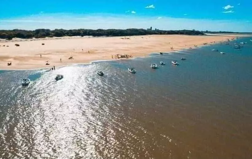 Casa Del Arbol Hostel