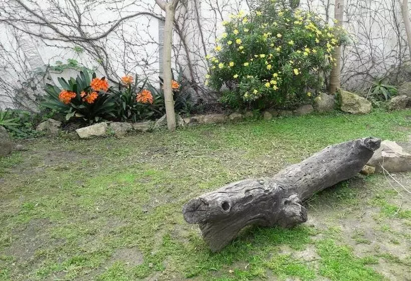 Casa Del Arbol Hostel