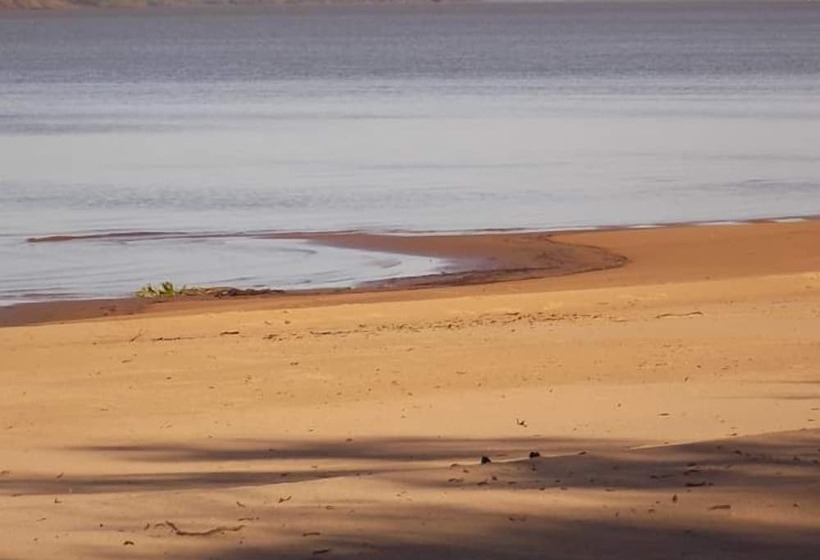 Casa Del Arbol Hostel