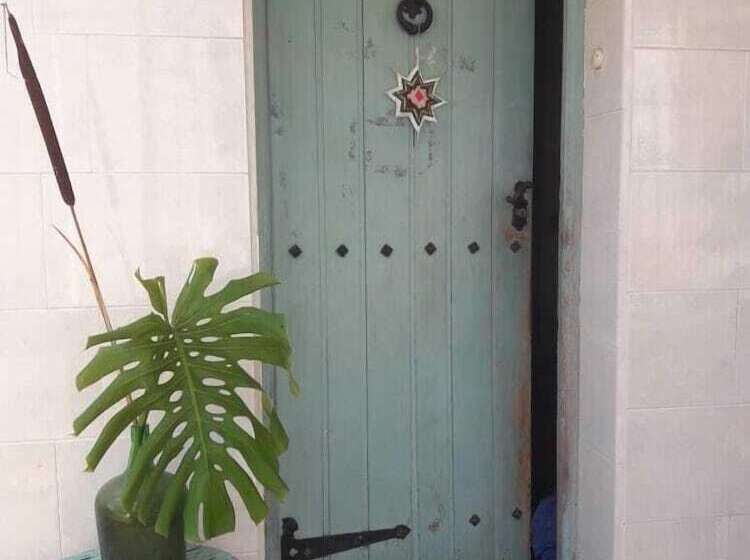 Casa Del Arbol Hostel