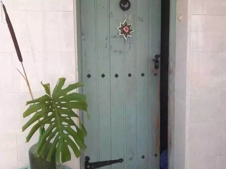 Casa Del Arbol Hostel