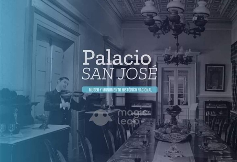 Casa Del Arbol Hostel