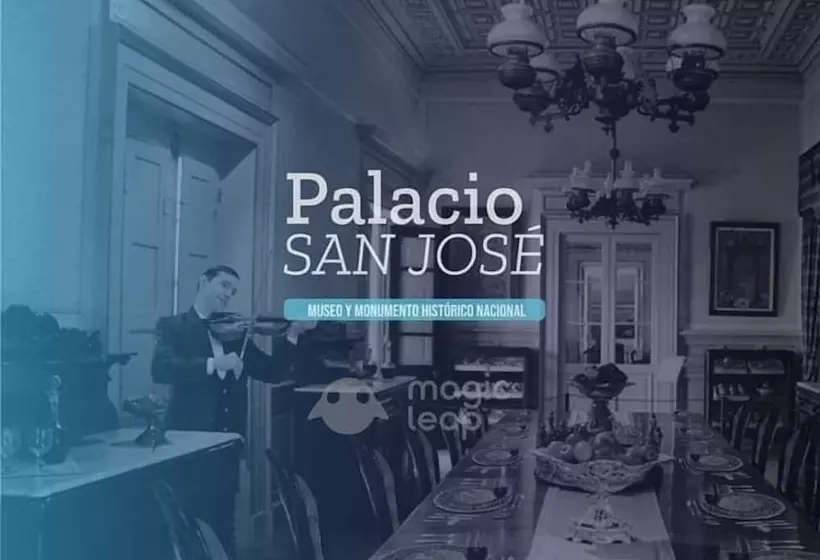 Casa Del Arbol Hostel